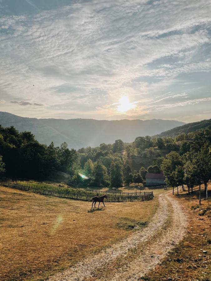 Etno Village Vojnik Savnik Eksteriør billede