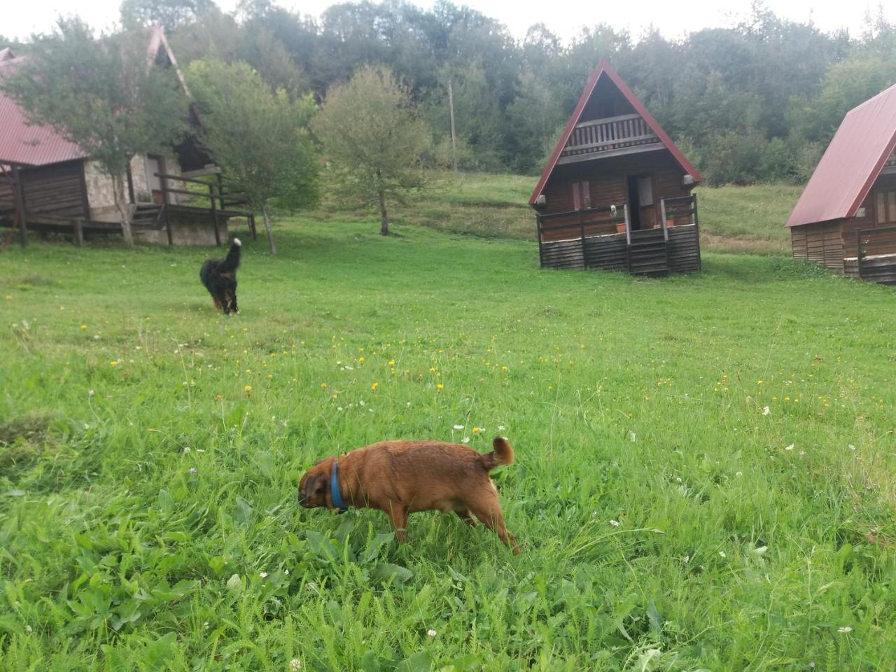 Etno Village Vojnik Savnik Eksteriør billede